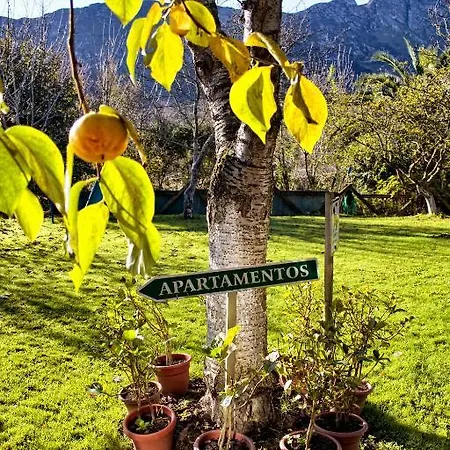 Rurales L'arquera 아파트 라네스