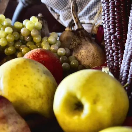 Апартаменты Rurales L'arquera *